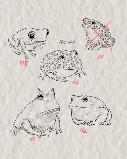 Frogs